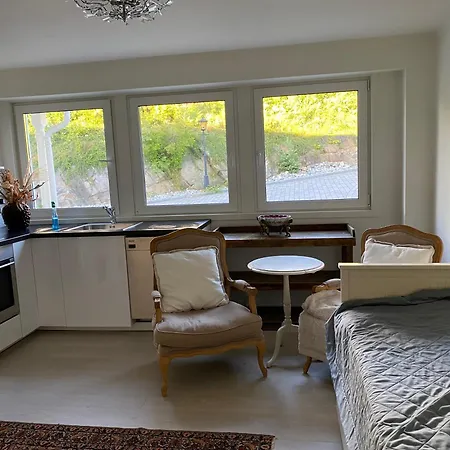 Apartment Hybel Leies Ut Plass Til 3