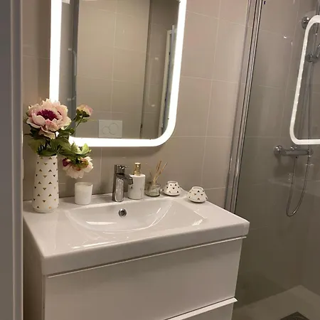 Apartment Hybel Leies Ut Plass Til 3